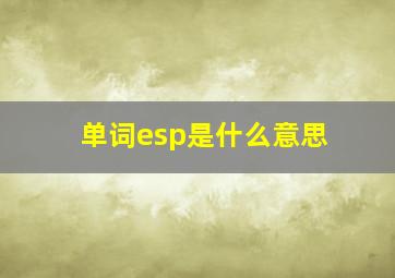 单词esp是什么意思