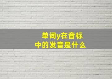 单词y在音标中的发音是什么