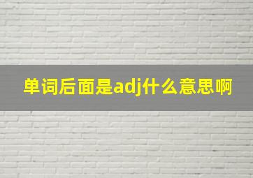 单词后面是adj什么意思啊