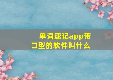 单词速记app带口型的软件叫什么