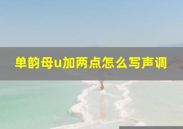 单韵母u加两点怎么写声调