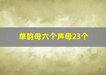 单韵母六个声母23个