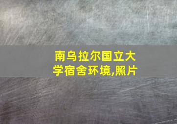 南乌拉尔国立大学宿舍环境,照片