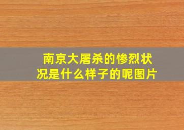 南京大屠杀的惨烈状况是什么样子的呢图片