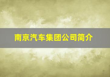 南京汽车集团公司简介