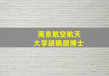 南京航空航天大学胡晓朋博士