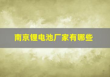 南京锂电池厂家有哪些