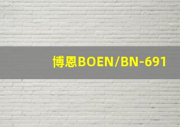 博恩BOEN/BN-691