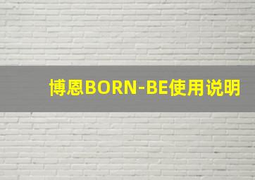 博恩BORN-BE使用说明