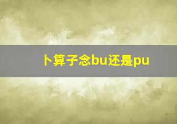 卜算子念bu还是pu