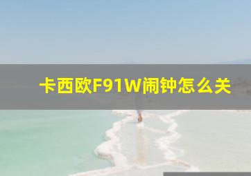 卡西欧F91W闹钟怎么关