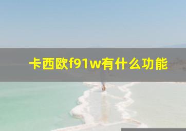 卡西欧f91w有什么功能