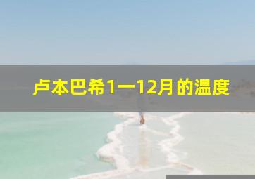 卢本巴希1一12月的温度