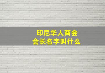 印尼华人商会会长名字叫什么