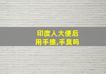 印度人大便后用手擦,手臭吗