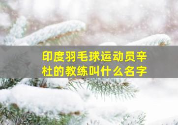 印度羽毛球运动员辛杜的教练叫什么名字