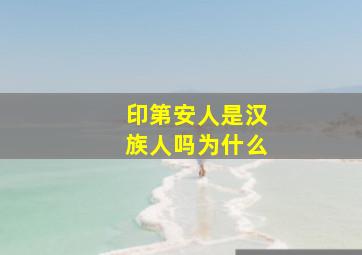 印第安人是汉族人吗为什么