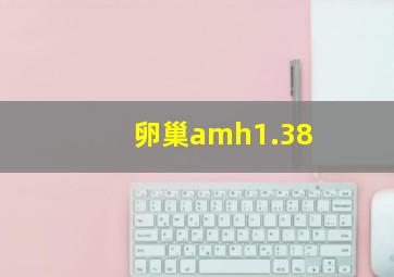 卵巢amh1.38