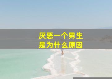 厌恶一个男生是为什么原因