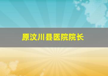 原汶川县医院院长