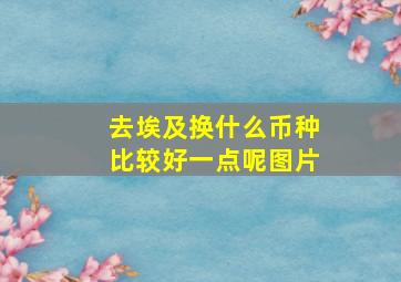 去埃及换什么币种比较好一点呢图片