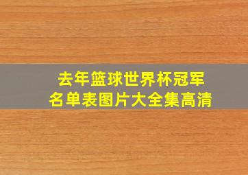 去年篮球世界杯冠军名单表图片大全集高清