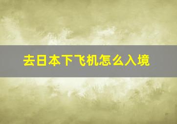 去日本下飞机怎么入境