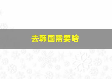 去韩国需要啥