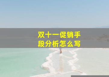 双十一促销手段分析怎么写