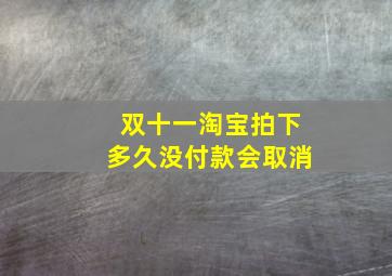 双十一淘宝拍下多久没付款会取消