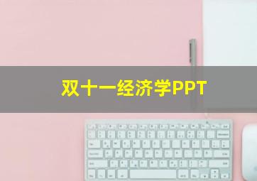 双十一经济学PPT