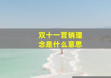 双十一营销理念是什么意思