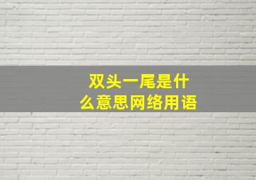 双头一尾是什么意思网络用语