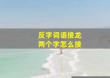 反字词语接龙两个字怎么接