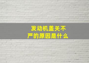 发动机盖关不严的原因是什么