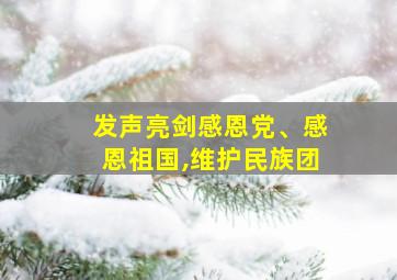 发声亮剑感恩党、感恩祖国,维护民族团