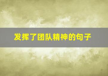 发挥了团队精神的句子