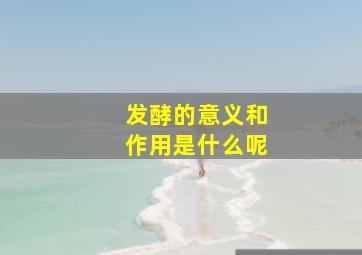 发酵的意义和作用是什么呢