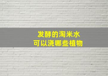 发酵的淘米水可以浇哪些植物