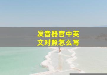 发音器官中英文对照怎么写