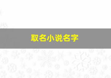 取名小说名字