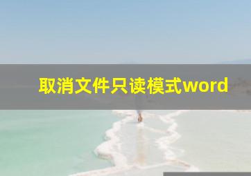 取消文件只读模式word