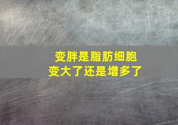 变胖是脂肪细胞变大了还是增多了