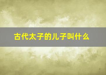 古代太子的儿子叫什么