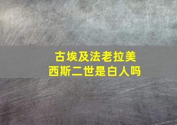 古埃及法老拉美西斯二世是白人吗