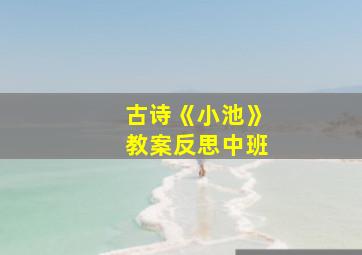 古诗《小池》教案反思中班