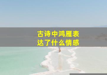 古诗中鸿雁表达了什么情感