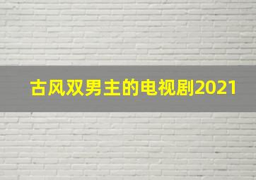 古风双男主的电视剧2021