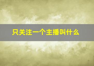 只关注一个主播叫什么