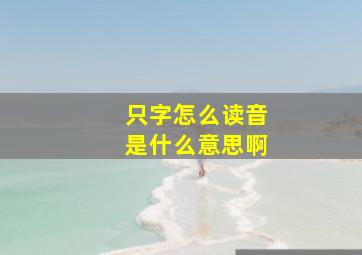 只字怎么读音是什么意思啊